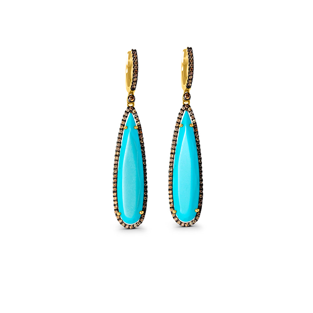 Drop Turquoise Earrings