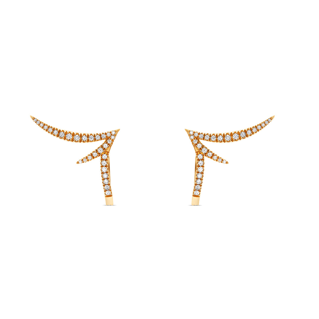 Irregular Winged Earrings